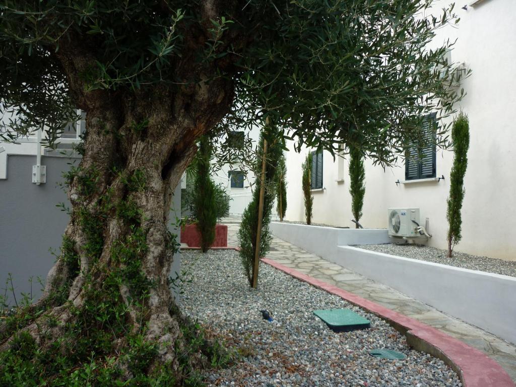 Residence Marea Resort Holiday park *
