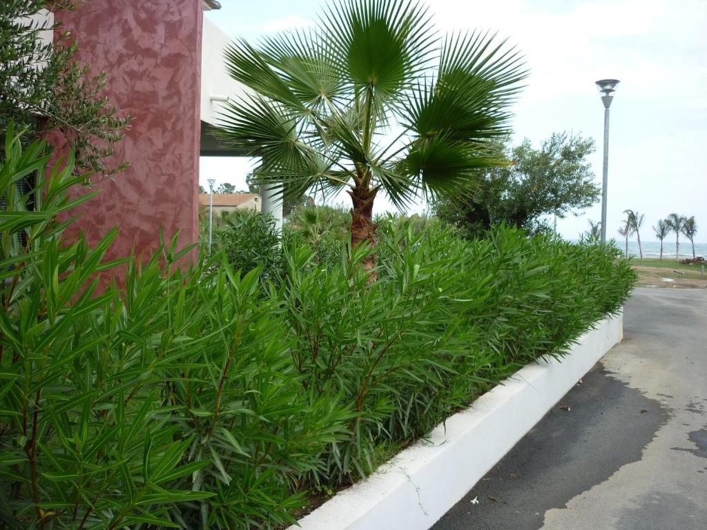 Holiday park Residence Marea Resort *